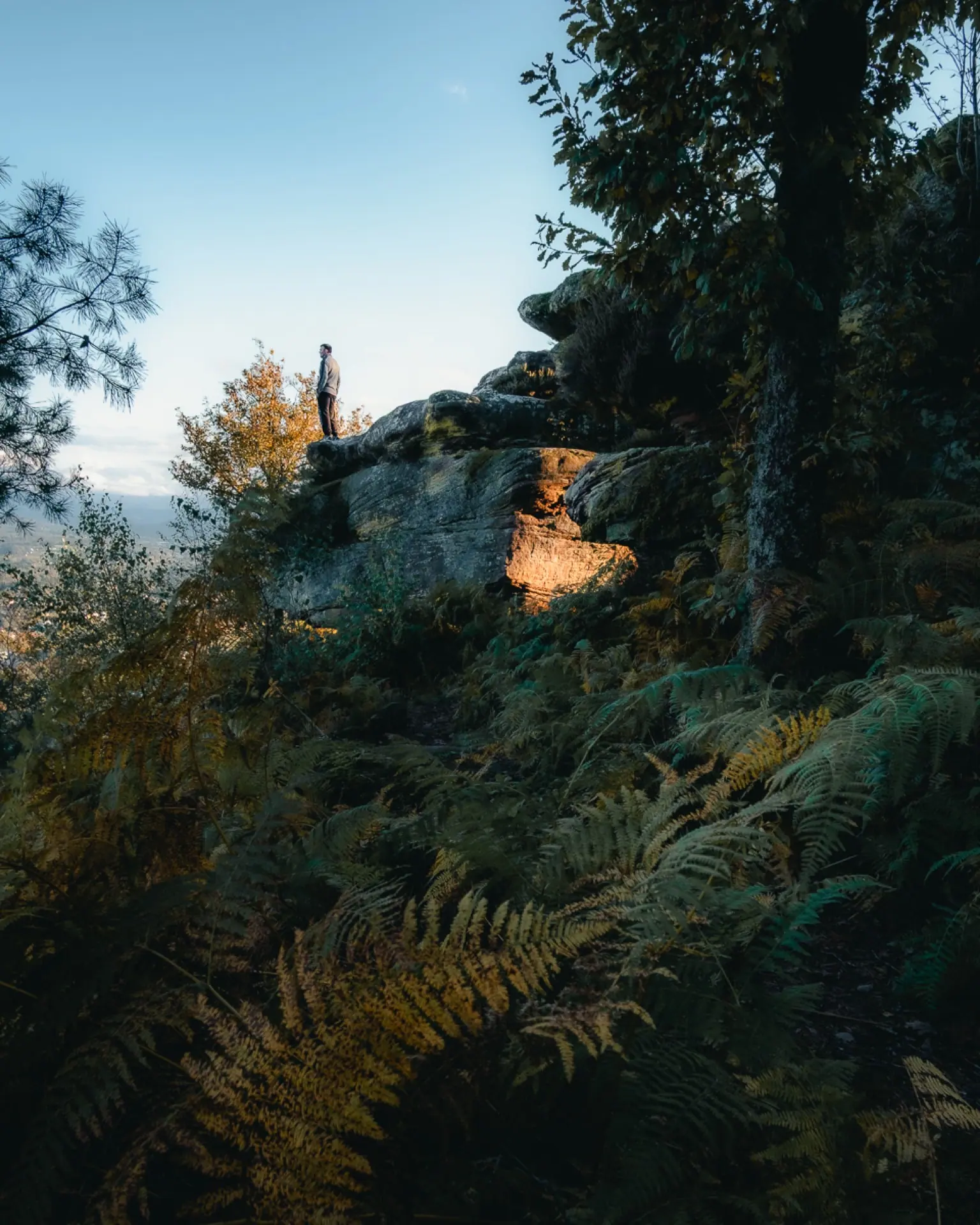 Personne face à un paysage rocheux